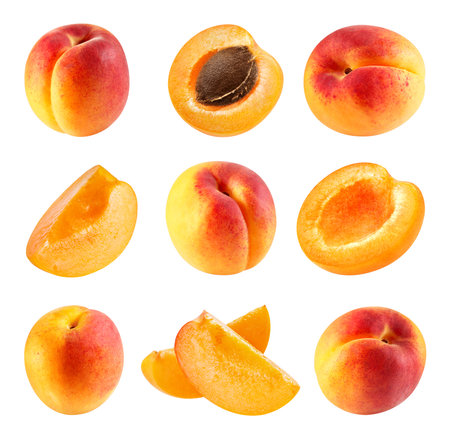 Apricot isolated on whiteの写真素材