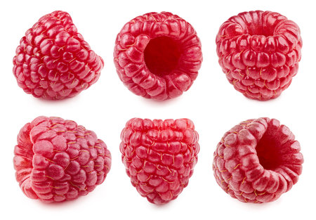Raspberry Collection isolated on whiteの写真素材