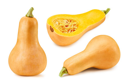 Butternut pumpkin and slice clipping pathの写真素材