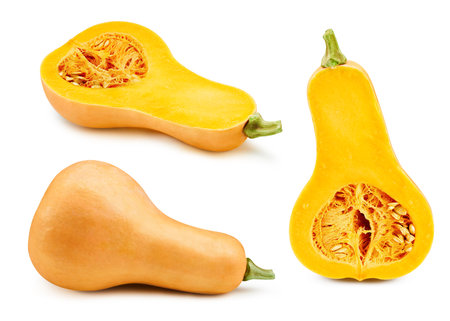 Butternut pumpkin  on white backgroundの写真素材
