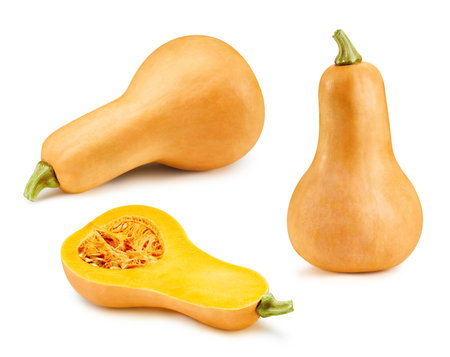 Butternut pumpkin isolated on whiteの写真素材
