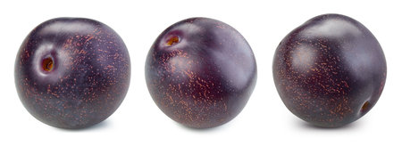 plums isolated on whiteの写真素材