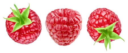 Ripe raspberries collection isolated on white backgroundの写真素材