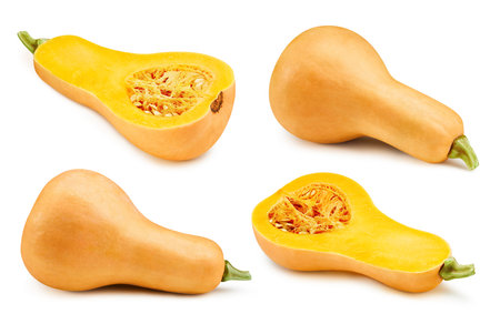 Butternut squash isolated on whiteの写真素材