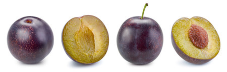 Plums isolated on whiteの写真素材