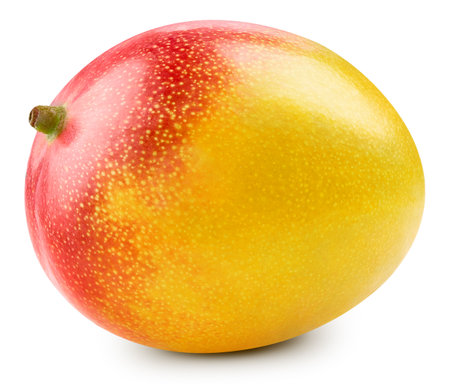 Mango isolated on whiteの写真素材