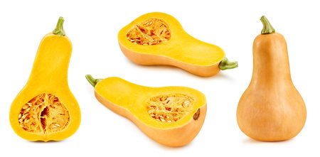 Butternut pumpkin and slice clipping pathの写真素材