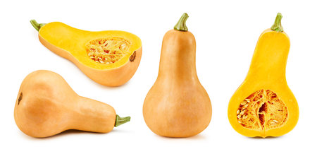 Butternut pumpkin and slice isolated on whiteの写真素材