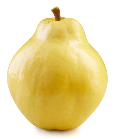 Quince isolated on whiteの写真素材