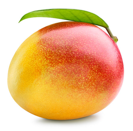 Mango isolated on whiteの写真素材