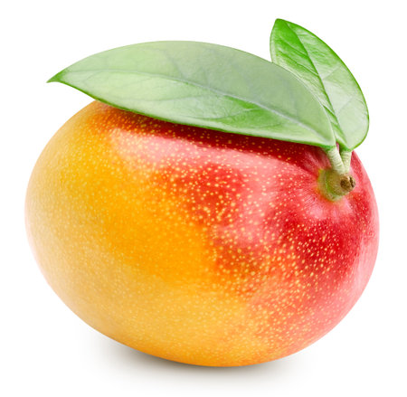 Mango fruit isolated on whiteの写真素材