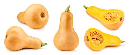 Butternut pumpkin and slice isolated on whiteの写真素材