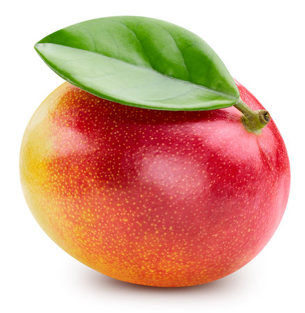 Mango fruit isolated on whiteの写真素材