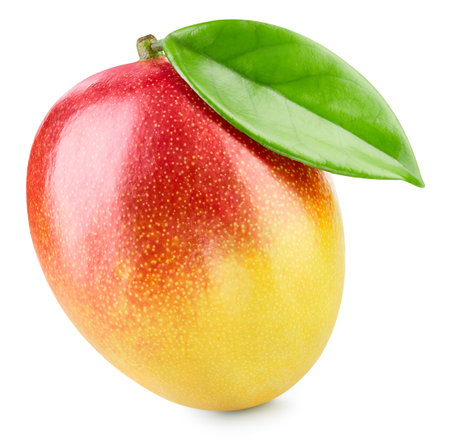 Mango fruit isolated on whiteの写真素材
