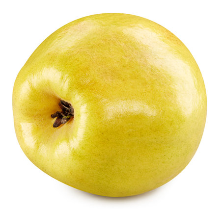 Quince isolated on whiteの写真素材