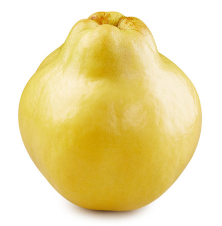 Quince isolated on whiteの写真素材