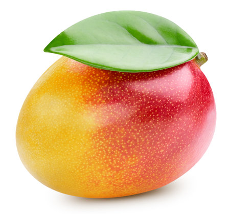 Mango fruit isolated on whiteの写真素材
