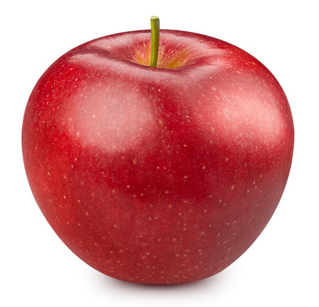 Red apple isolated on white. Apple Clipping Path.の写真素材