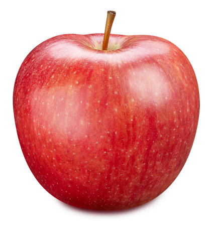 Red apple isolated on white.の写真素材