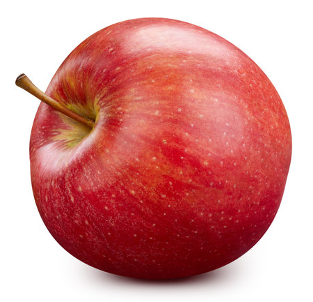 Red apple isolated on white. Apple Clipping Path.の写真素材