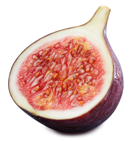 Fig isolated on whiteの写真素材