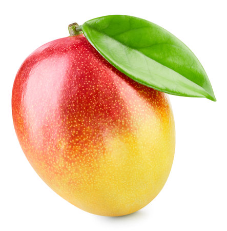 Mango  with leaf isolated on white backgroundの写真素材