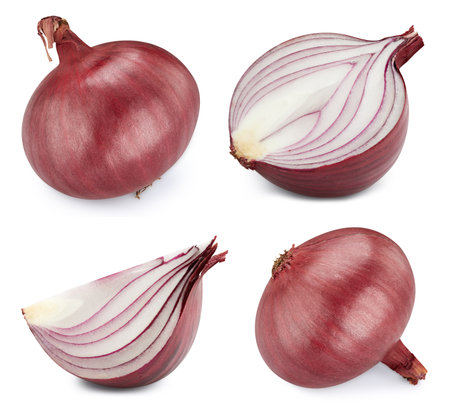 Onion collection isolated on white background.の写真素材