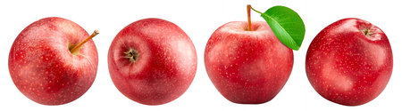 Red apples collection isolated on white backgroundの写真素材