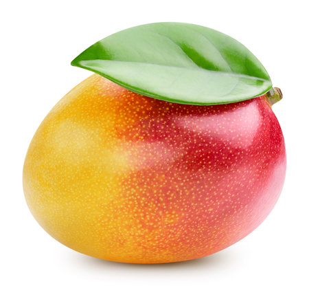 Fresh red mango fruits. Mango isolated on white background.の写真素材
