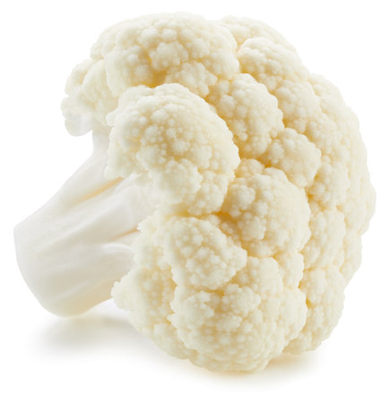 Cauliflower  . Organic fresh cauliflower  on white. Full depth  fieldの写真素材