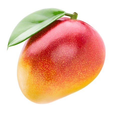 Mango fruit. Mango  on white background.   .の写真素材