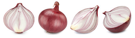 Onion collection. Ripe fresh onion  . Onion  on white background.の写真素材