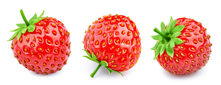 Collection strawberry  on white background. Strawberry leaf  . strawberry macro studio photoの写真素材