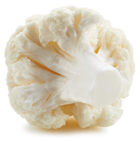 Organic cauliflower     on a white background. Fresh cauliflowerの写真素材
