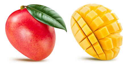 Red mango half  on white background. Mango  . Mango fruitsの写真素材