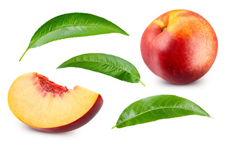 Peach fruit with leaf isolated on white background. Collection peach clipping path. Full depth of fieldの写真素材