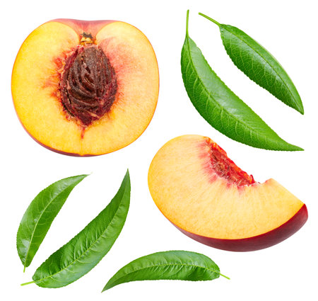 Peach collection. Ripe peach fruit and slice with leaf isolated on white background. Fresh organic fruit.の写真素材