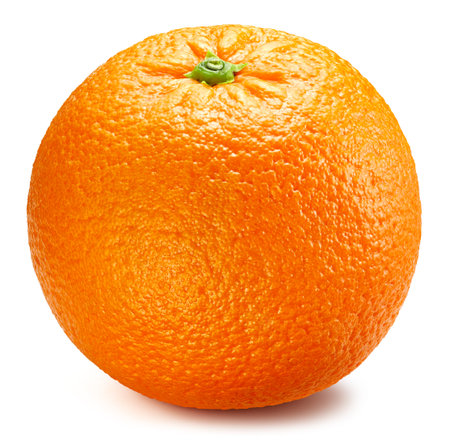 Orange  on white background. Orange  . Orange fruitsの写真素材
