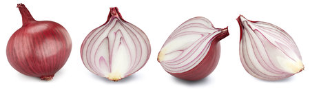 Onion collection. Fresh organic onion isolated on white background. Onion macro. With clipping pathの写真素材