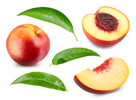 Peach collection. Nectarine fruit and half with leaf isolated on white background. Peach clipping pathの写真素材