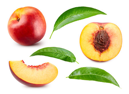 Peach collection. Ripe peach fruit and slice with leaf isolated on white background. Fresh organic fruit.の写真素材
