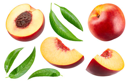 Half nectarine fruit with leaf isolated on whiteの写真素材