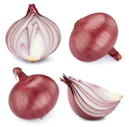 Half onion vegetable isolated on whiteの写真素材