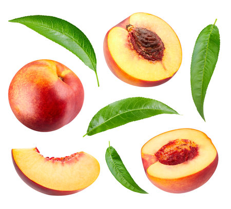 Half nectarine fruit with leaf isolated on whiteの写真素材