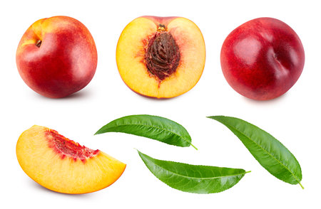 Half nectarine fruit with leaf isolated on whiteの写真素材