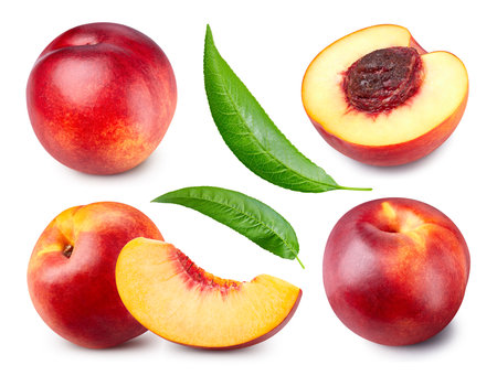 Peach fruit isolated. Peach collection with clipping path. Full depth of fieldの写真素材