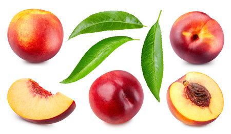 Peach organic fruit collection set. Peach full macro shoot fruit healthy food ingredient on white isolated.の写真素材