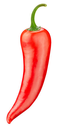 Chili  on white background. Chili pepper macro studio photo. Chili  leaves.の写真素材