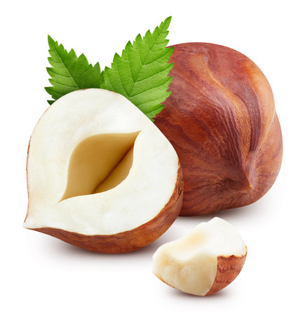 Hazelnut nut. Hazelnut  on white background. Hazelnut  .の写真素材