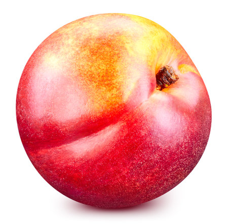 Peach fruits  on white background. Peachの写真素材